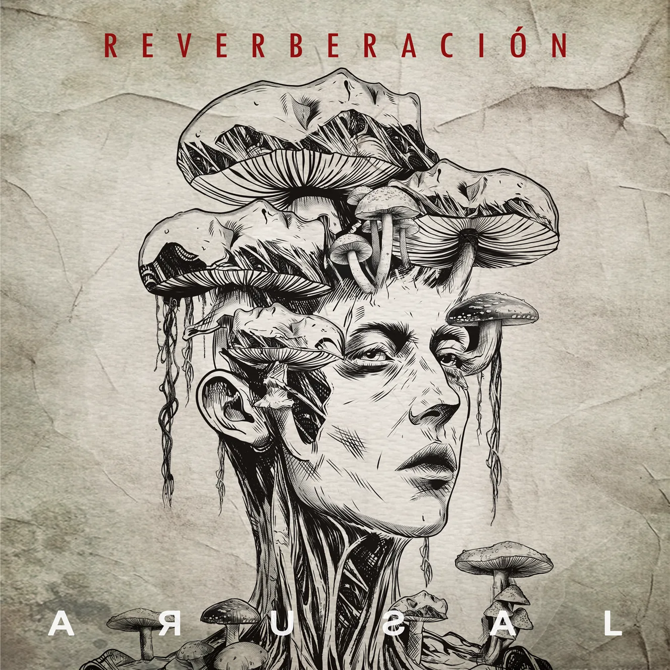 Arusal - Reverberación