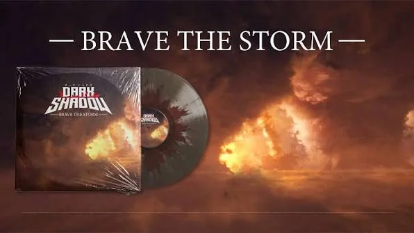 Dark Shadow — portada del sencillo Brave the Storm