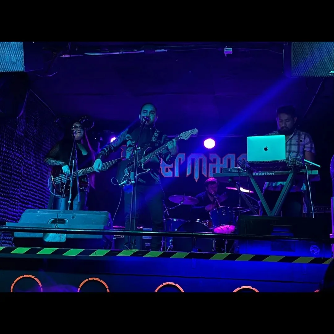 Bandas en vivo